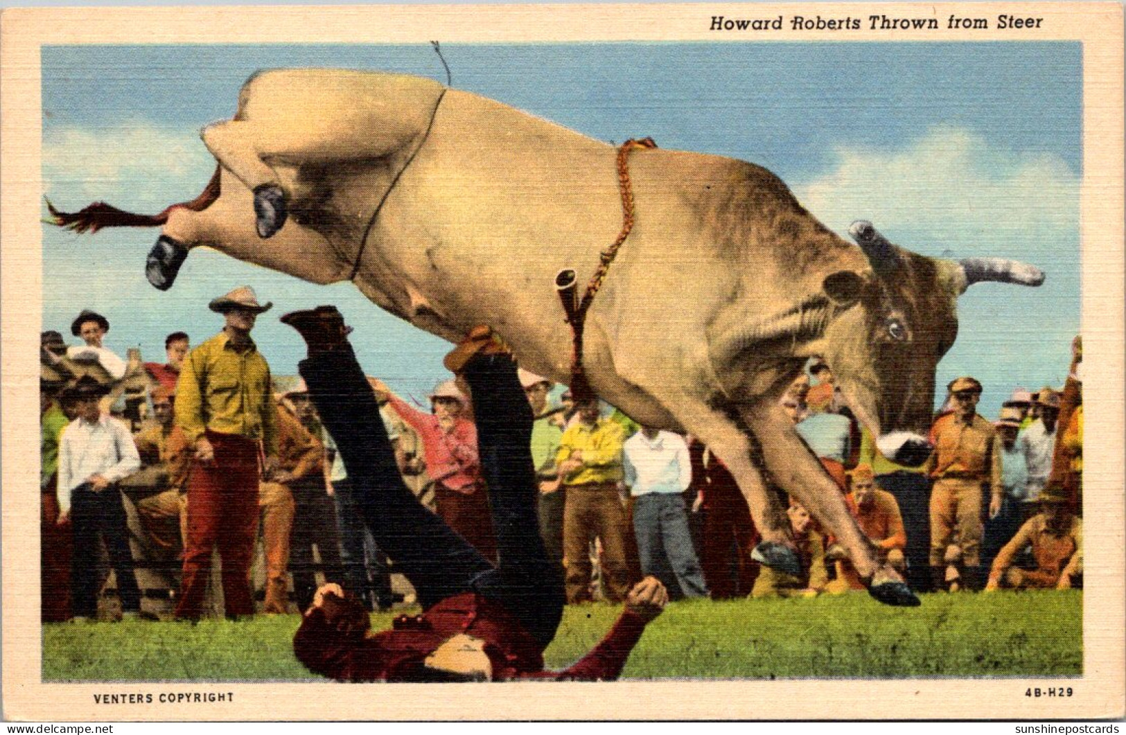 Oklahoma Rodeo Scene "Steer Riding" Howard Roberts Thrown From Steer Curteich - Sonstige & Ohne Zuordnung