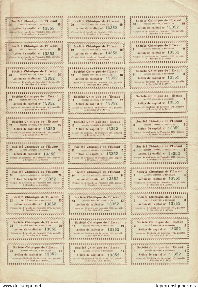 Titre De 1921 - Société Chimique De L'Escaut - Russie