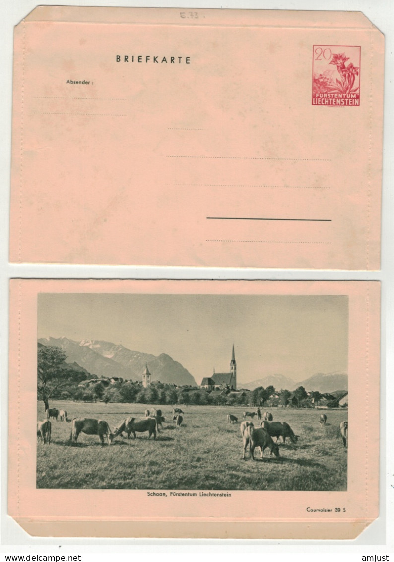 Liechtenstein // Entier Postal // Entier Postal Neuf - Entiers Postaux