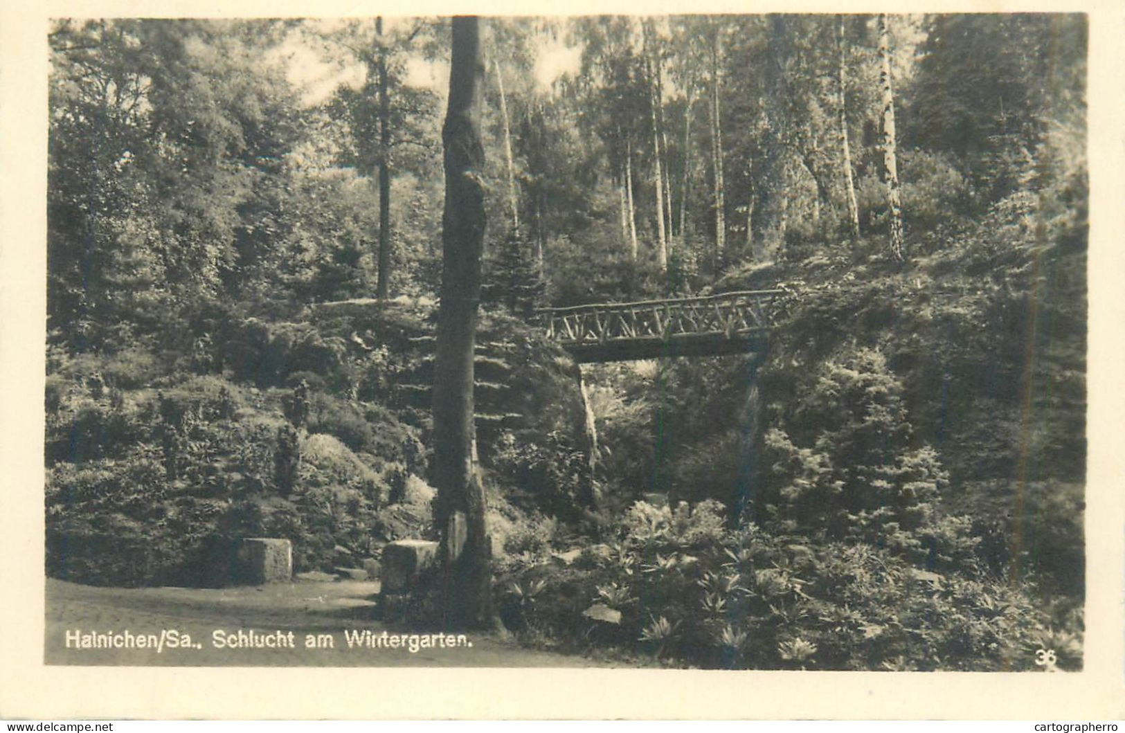 Germany Hainichen Schlucht Am Wintergarten - Hainichen