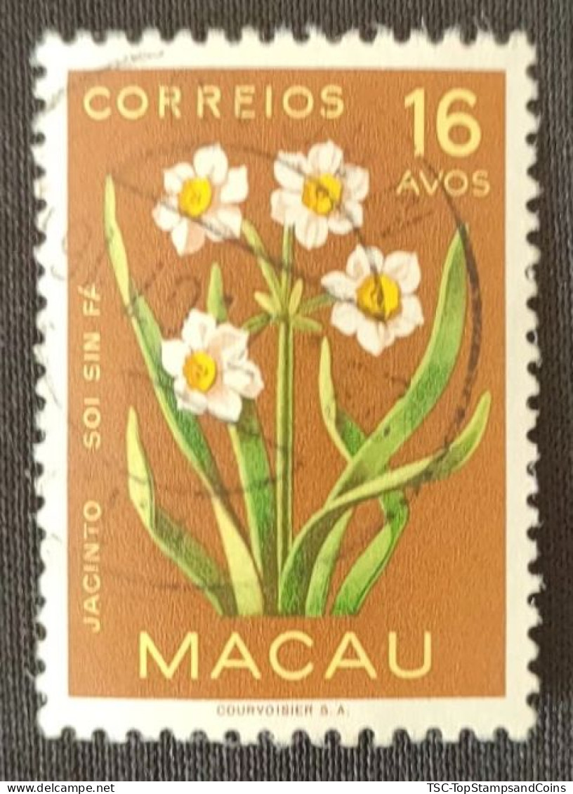 MAC5378U5 - Macau Flowers - 16 Avos Used Stamp - Macau - 1953 - Usados