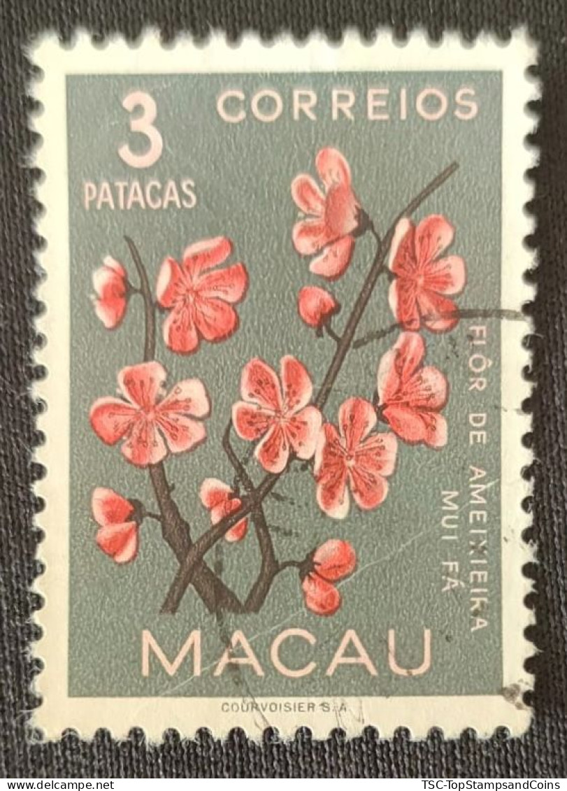 MAC5382U2 - Macau Flowers - 3 Patacas Used Stamp - Macau - 1953 - Used Stamps