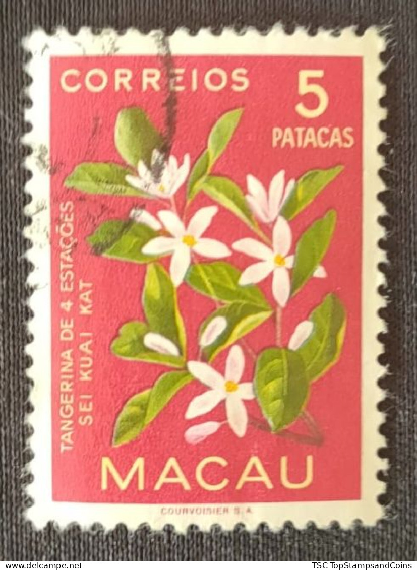 MAC5383U2 - Macau Flowers - 5 Patacas Used Stamp - Macau - 1953 - Usados