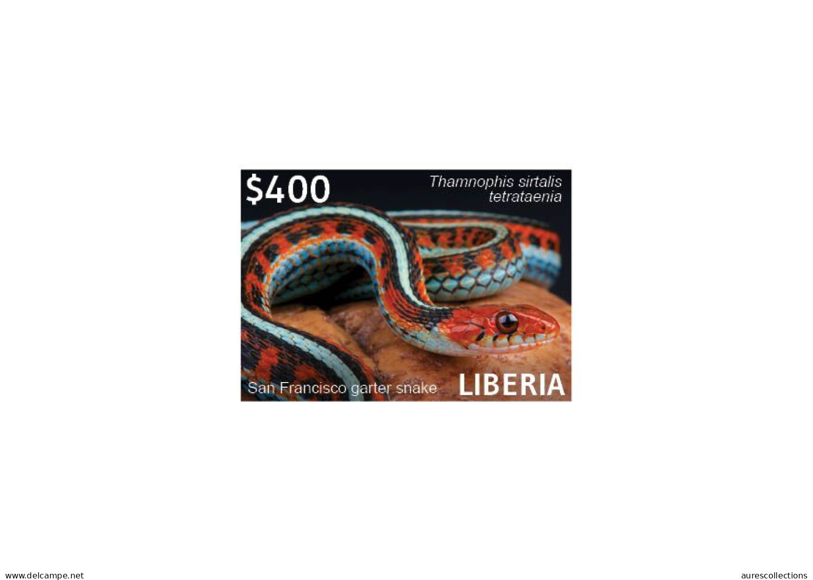 LIBERIA 2023 DELUXE PROOF (REGULAR & OVERPRINT) - AMPHIBIANS REPTILES SNAKE SNAKES SERPENT SERPENTS MNH - Serpents