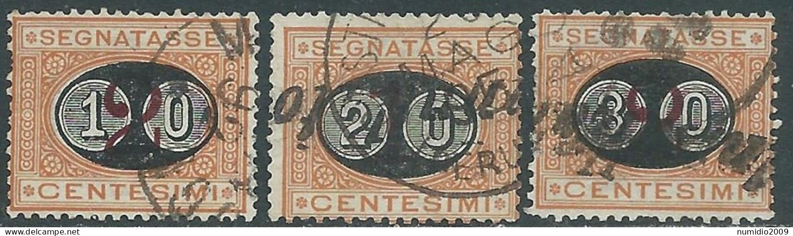 1890-91 REGNO SEGNATASSE USATO SOPRASTAMPATI 3 VALORI - RE28-3 - Impuestos