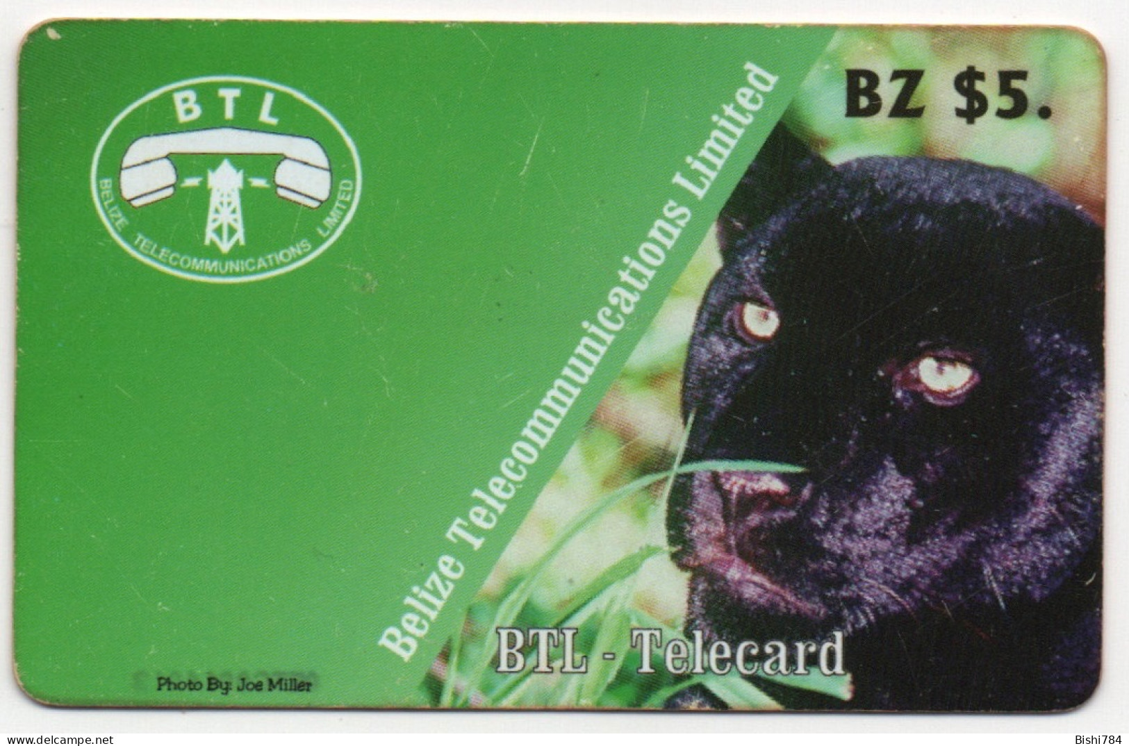 Belize - Panther (CN To The Right) 05TCXXXXXXX (NOT ON COLNECT) - Belice