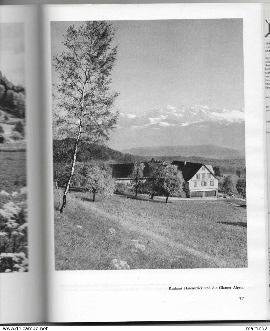 SCHWEIZER HEIMATBÜCHER Band 34 - DAS ZÜRCHER OBERLAND (um 1950) 60 Seiten Pages 24 Photos VERLAG PAUL HAUPT BERN - Svizzera