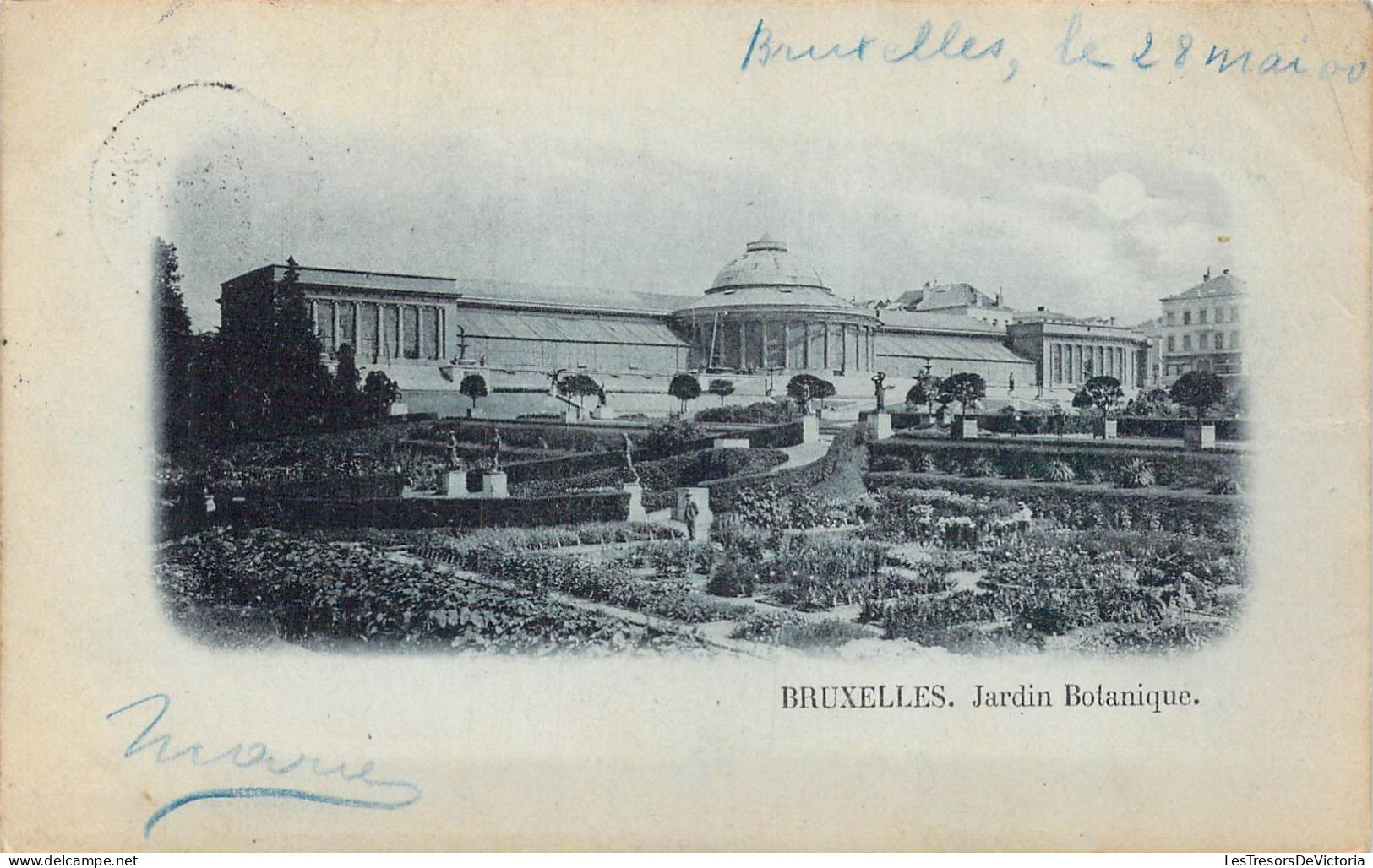 BELGIQUE - Bruxelles - Jardin Botanique - Carte Postale Ancienne - Bosques, Parques, Jardines