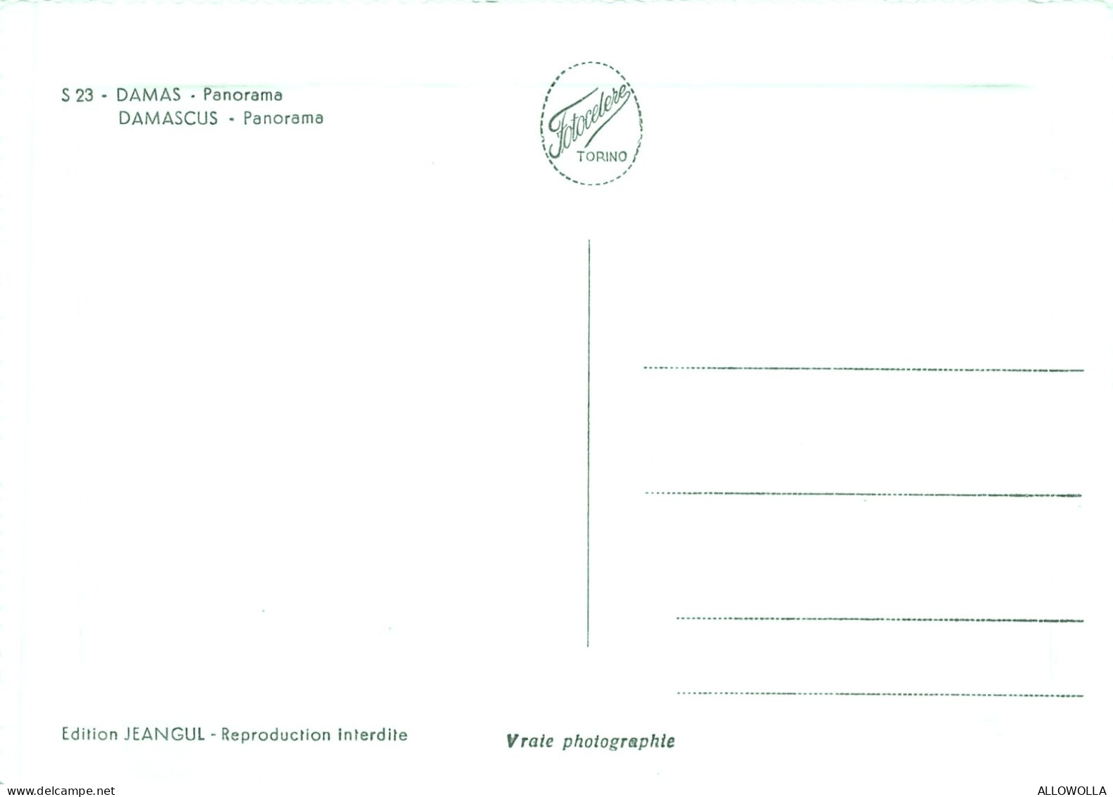 20485 " DAMAS-PANORAMA-DAMASCUS-PANORAMA "VERA FOTO-CART. POST. NON SPED. - Syrie