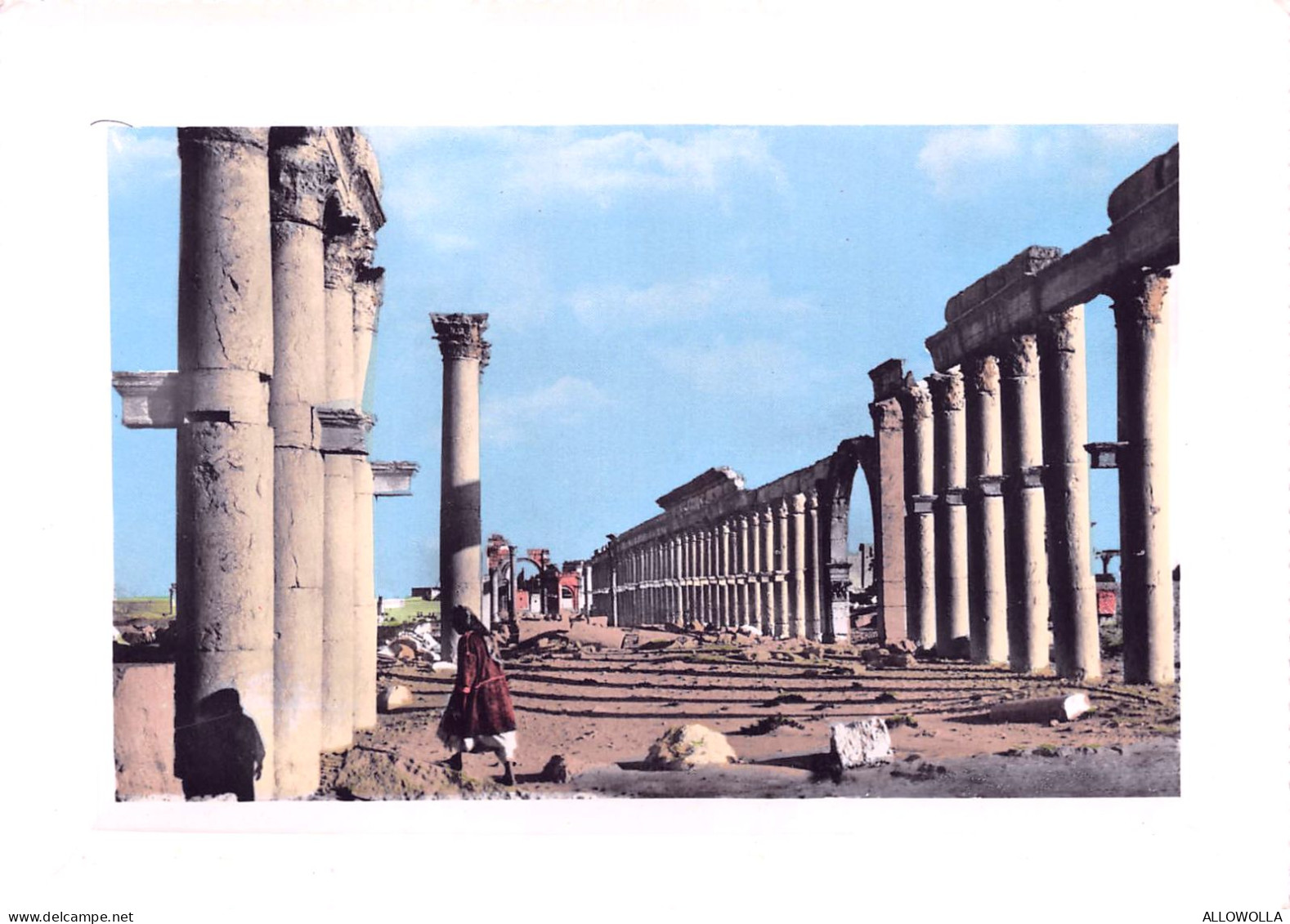 20487 " PALMYRE-COLONNADES-PALMYRA-COLUMNATES "VERA FOTO-CART. POST. NON SPED. - Syrie