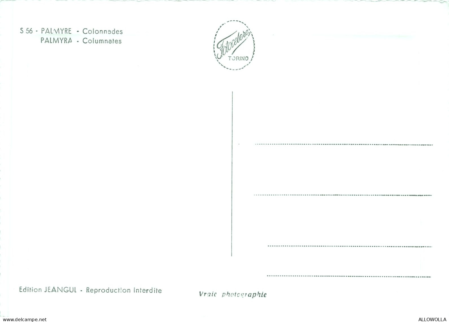 20487 " PALMYRE-COLONNADES-PALMYRA-COLUMNATES "VERA FOTO-CART. POST. NON SPED. - Syrie