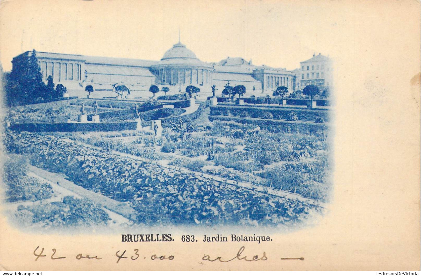 BELGIQUE - Bruxelles - Jardin Botanique - Carte Postale Ancienne - Forêts, Parcs, Jardins