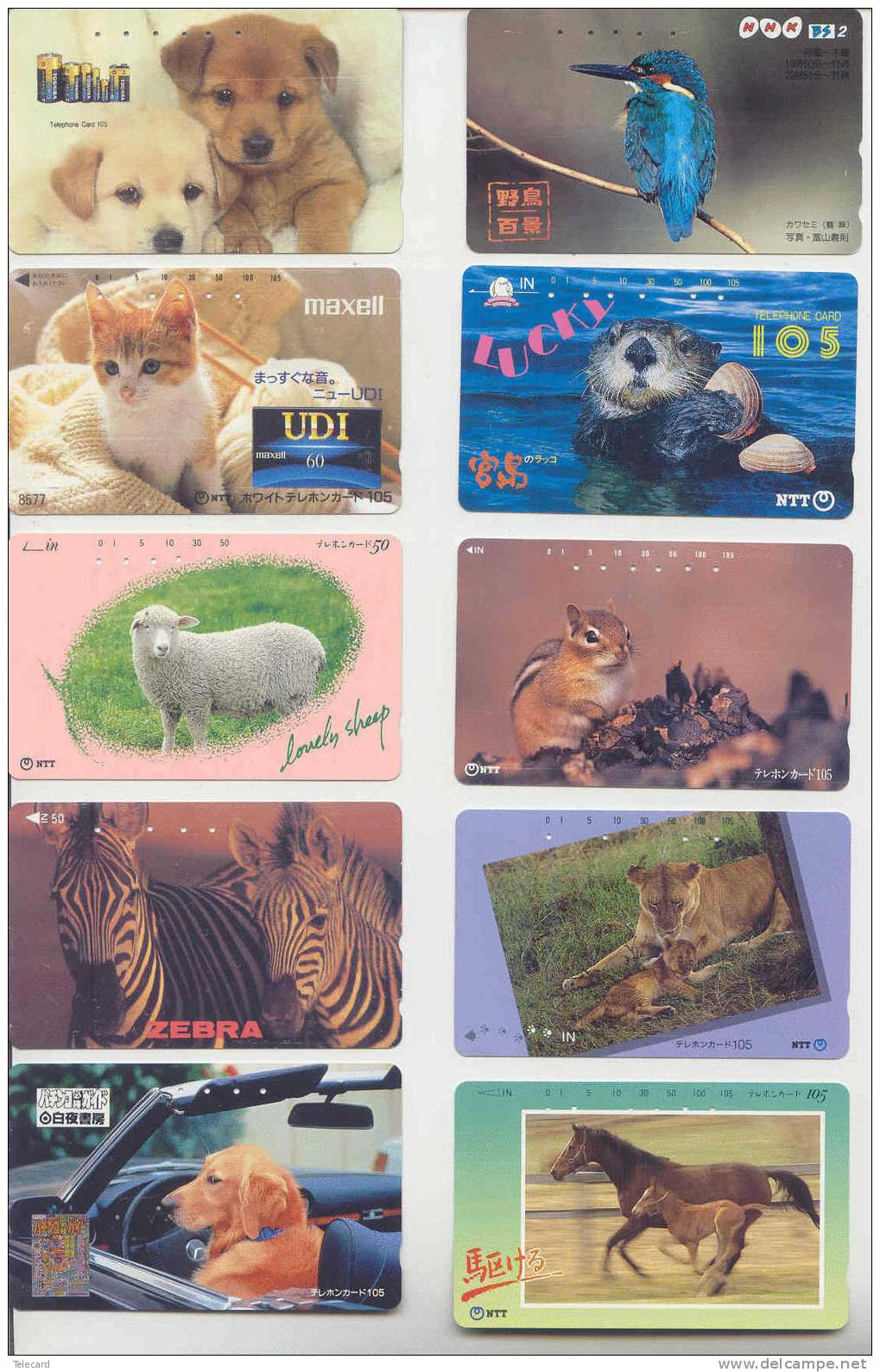 100 Telecartes De JAPON JAPAN Seulement ANIMAUX (H-139) 100 Beautiful Phonecards Animals From Japan - Lots - Collections