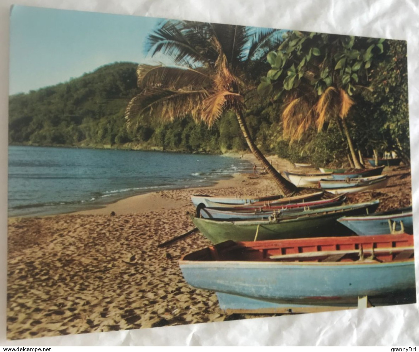 97 St Barthelemy 1988 Bateaux Saintois Sur La Plage Cocotiers -ed Caraibes S.102 - Saint Barthelemy