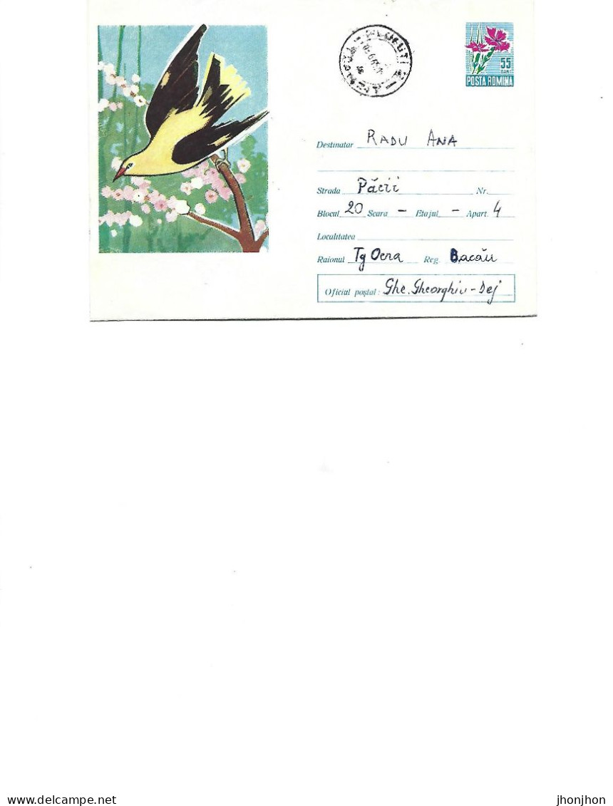 Romania - Postal Stationery Envelope Used 1964  -  Birds -   The Grangur (Oriole) - Colibris