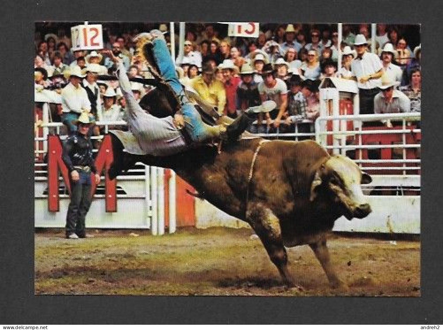 Calgary - Alberta - Calgary Exhibition & Stampede - The Brahma Bull Riding Event Is A Great Thriller - Photo Morrison - Calgary