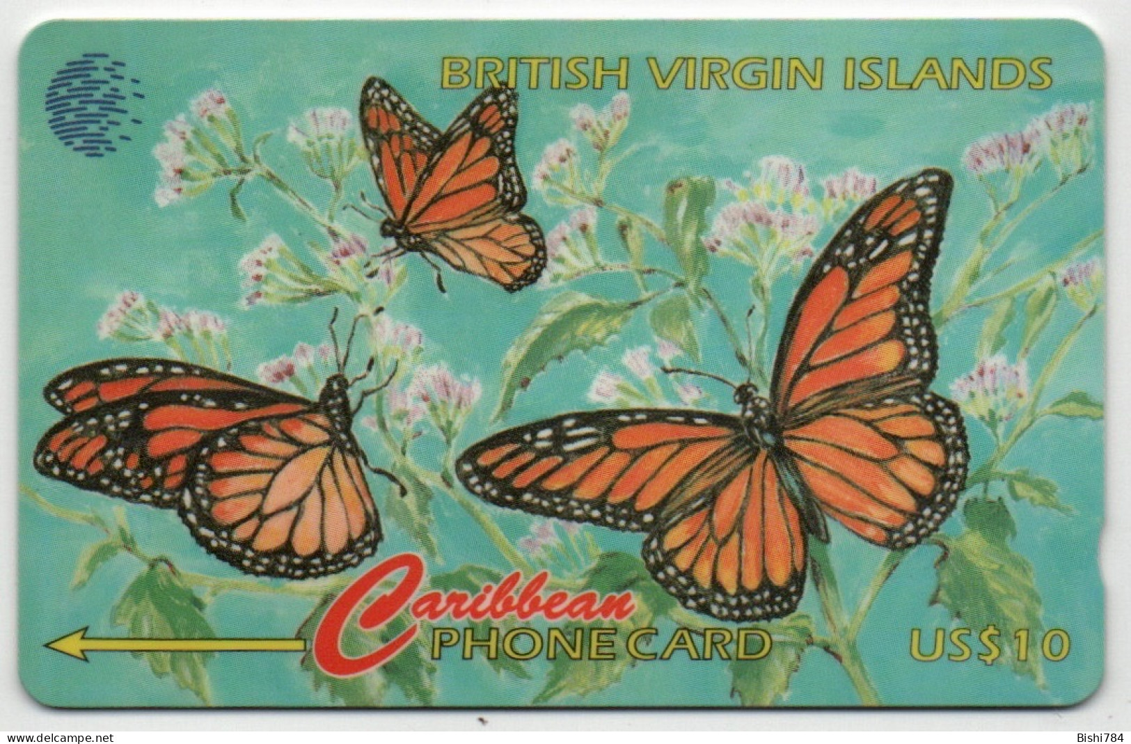 British Virgin Islands - Butterflies - 91CBVB (Regular O) - Isole Vergini