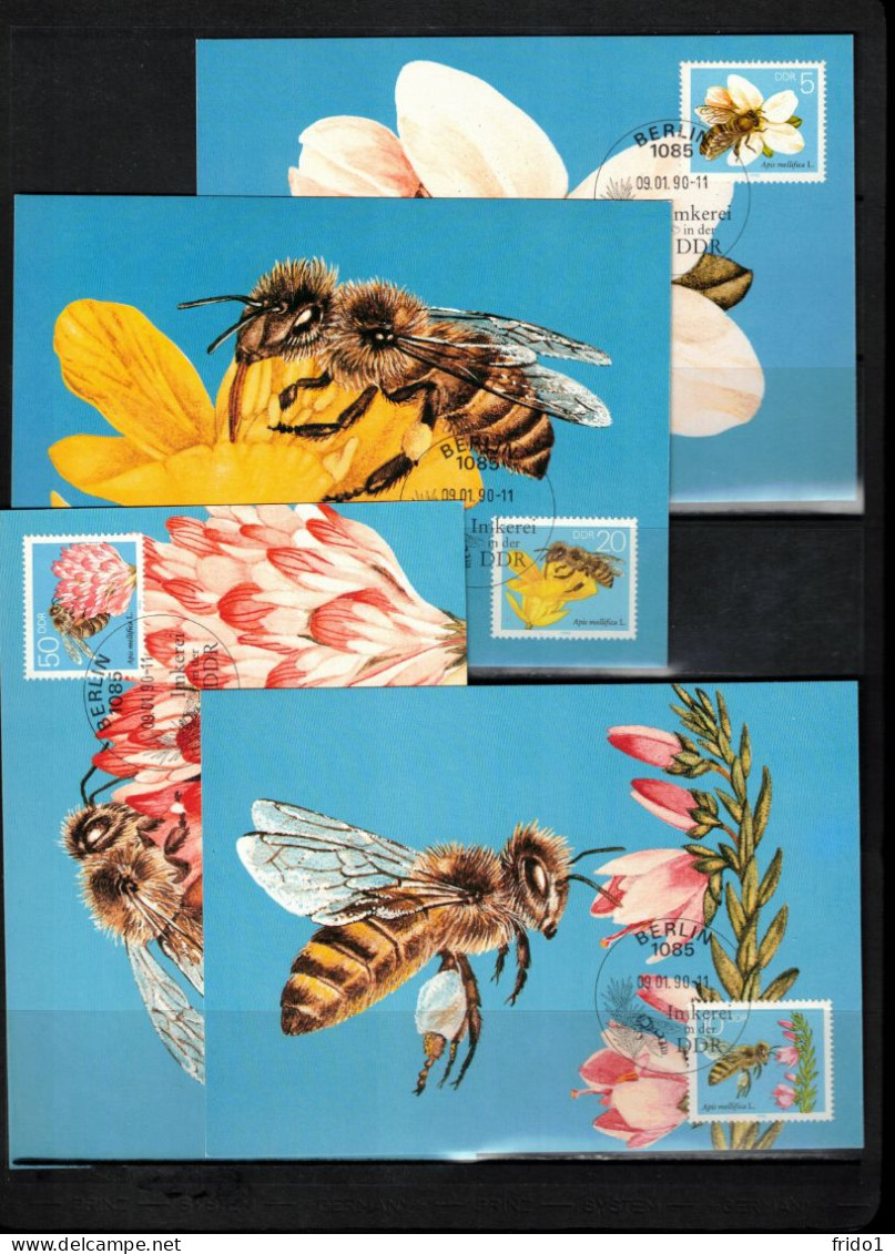 Germany / Deutschland DDR 1990 Honeybees Maximum Cards - Abeilles