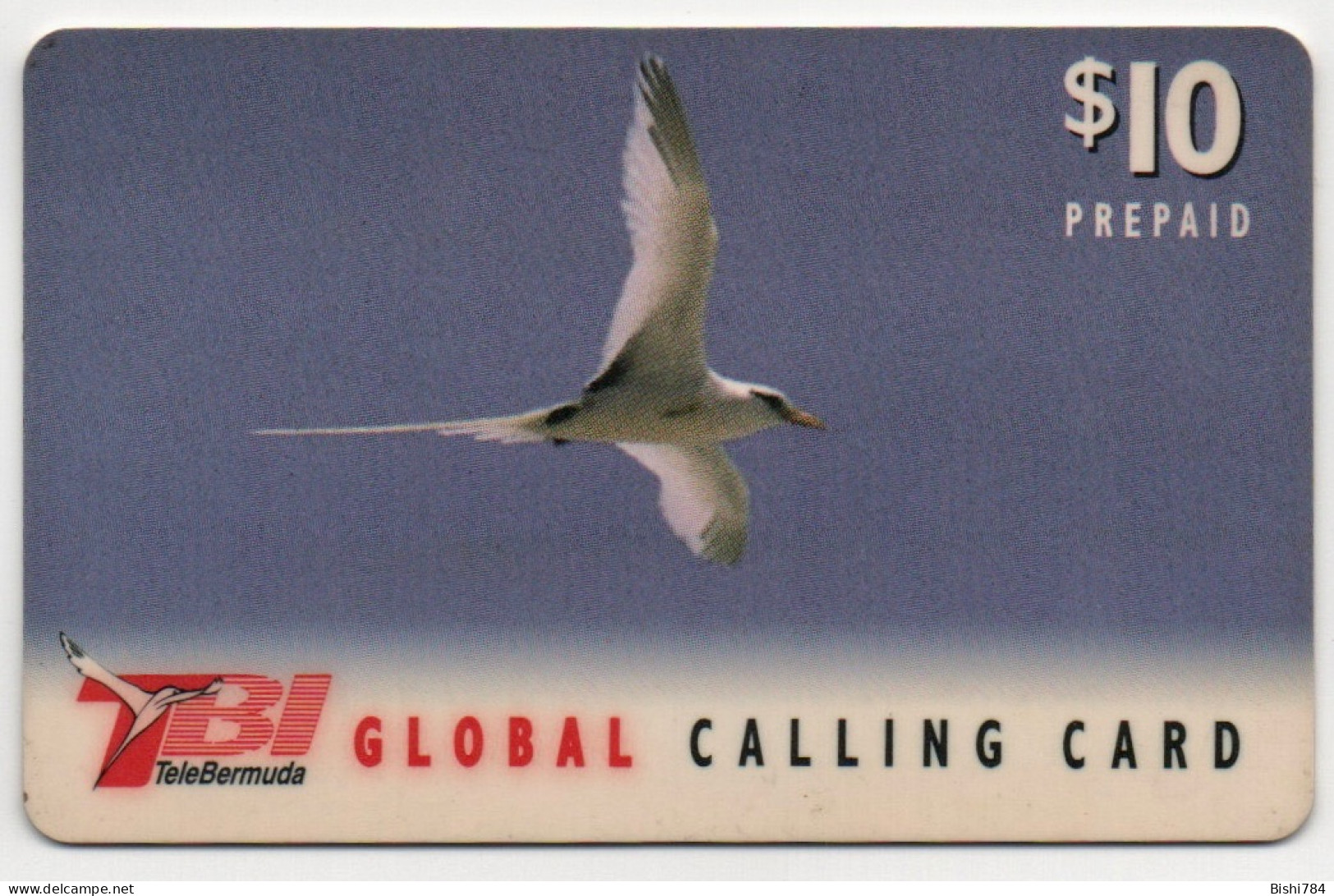 Bermuda - Seagull $10 (with RED TBI Logo) - Bermude