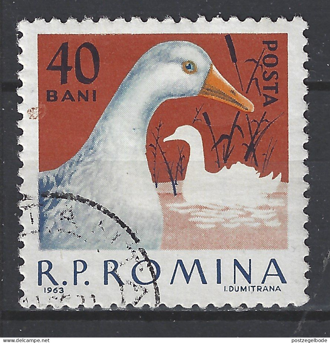 Roemenie Romania Romana Used ; Gans Goose Oie Ganso NOW MANY STAMPS OF ANIMALS FOR SALE - Ganzen