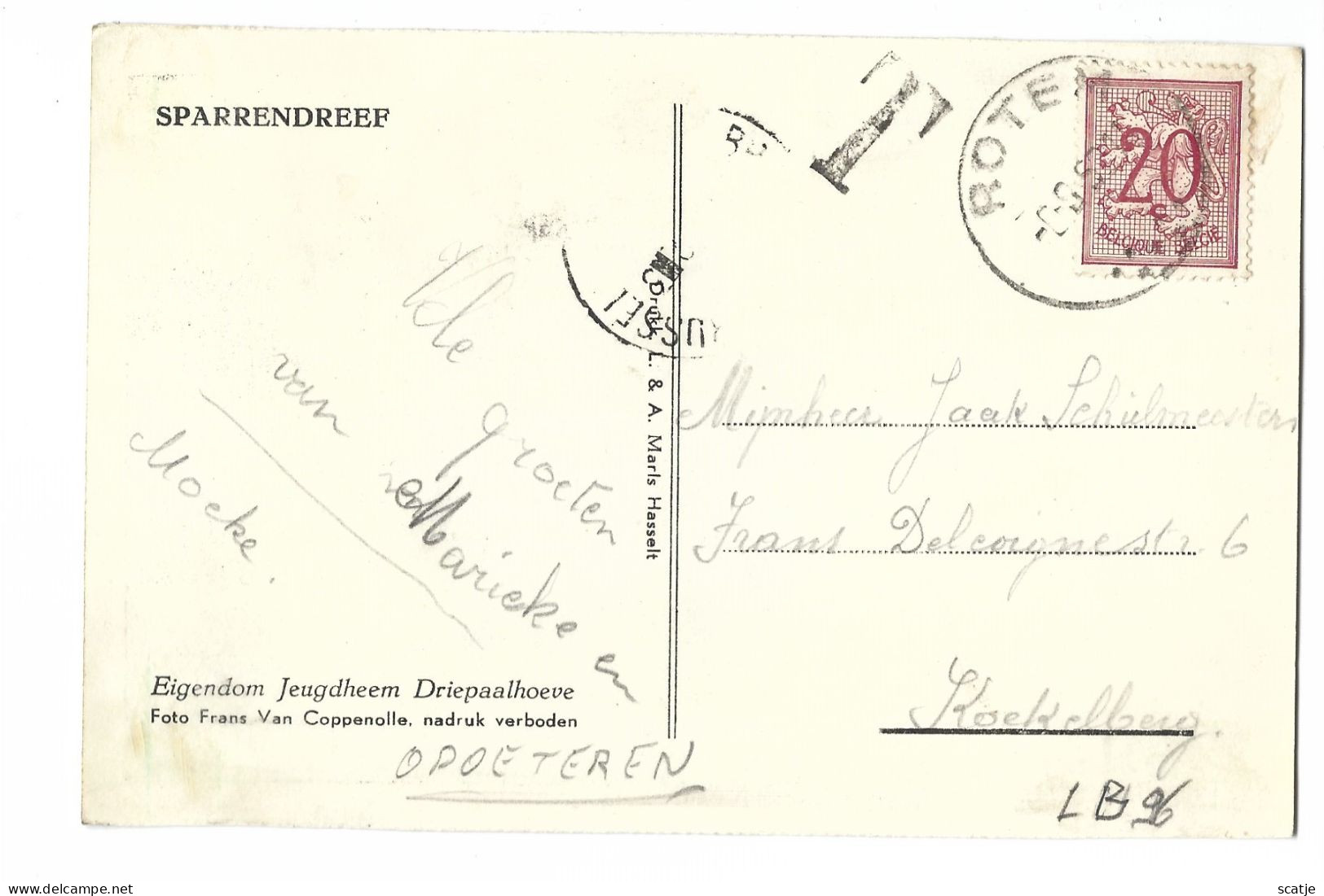 Opoeteren    -   Rotem   -   Sparrendreef,   Eigendom Jeugdheem Driepaalhoeve   -   1953   Naar   Koekelberg - Maaseik
