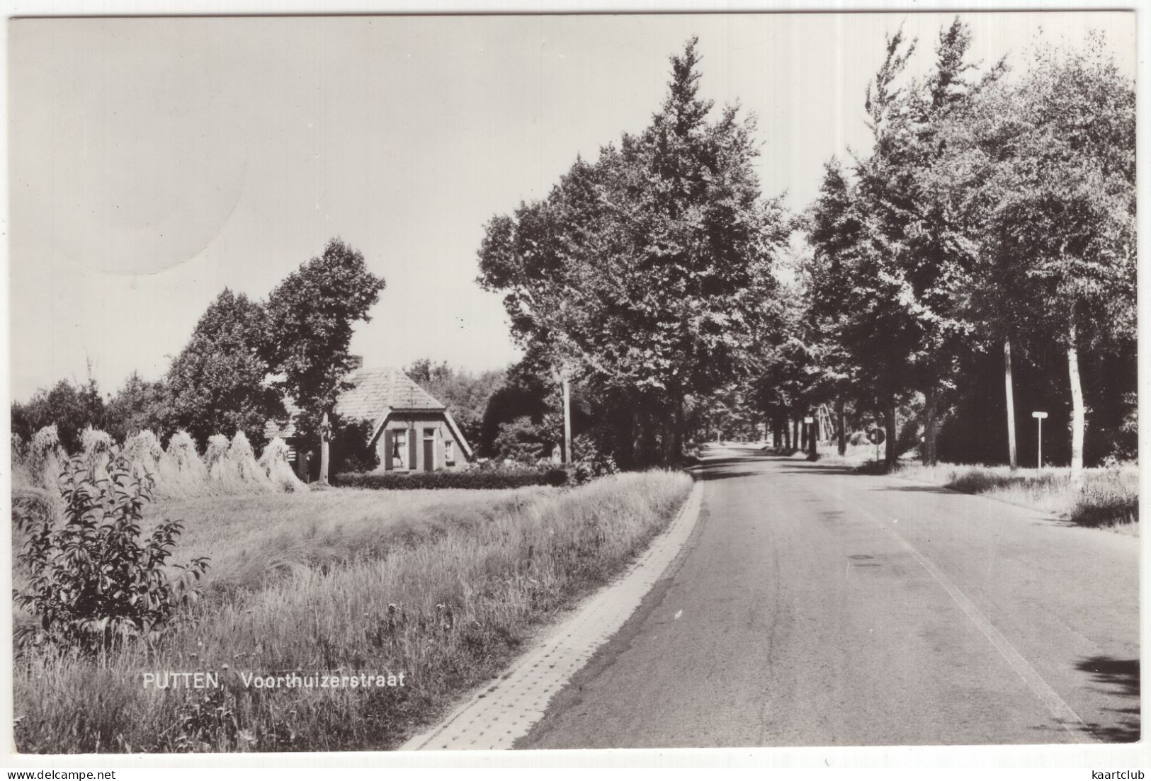 Putten - Voorthuizerstraat - (Gelderland, Nederland/Holland) - 1971 - Uitg.: Boekhandel Amsing, Putten - Putten