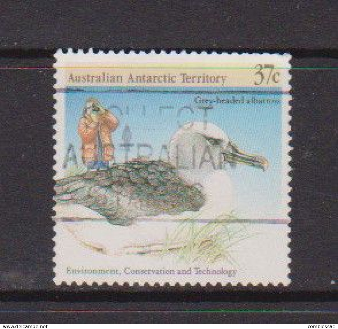 AUSTRALIAN  ANTARCTIC  TERRITORY    1988    Enviroment  Conservation    37c  Albatross    USED - Gebraucht