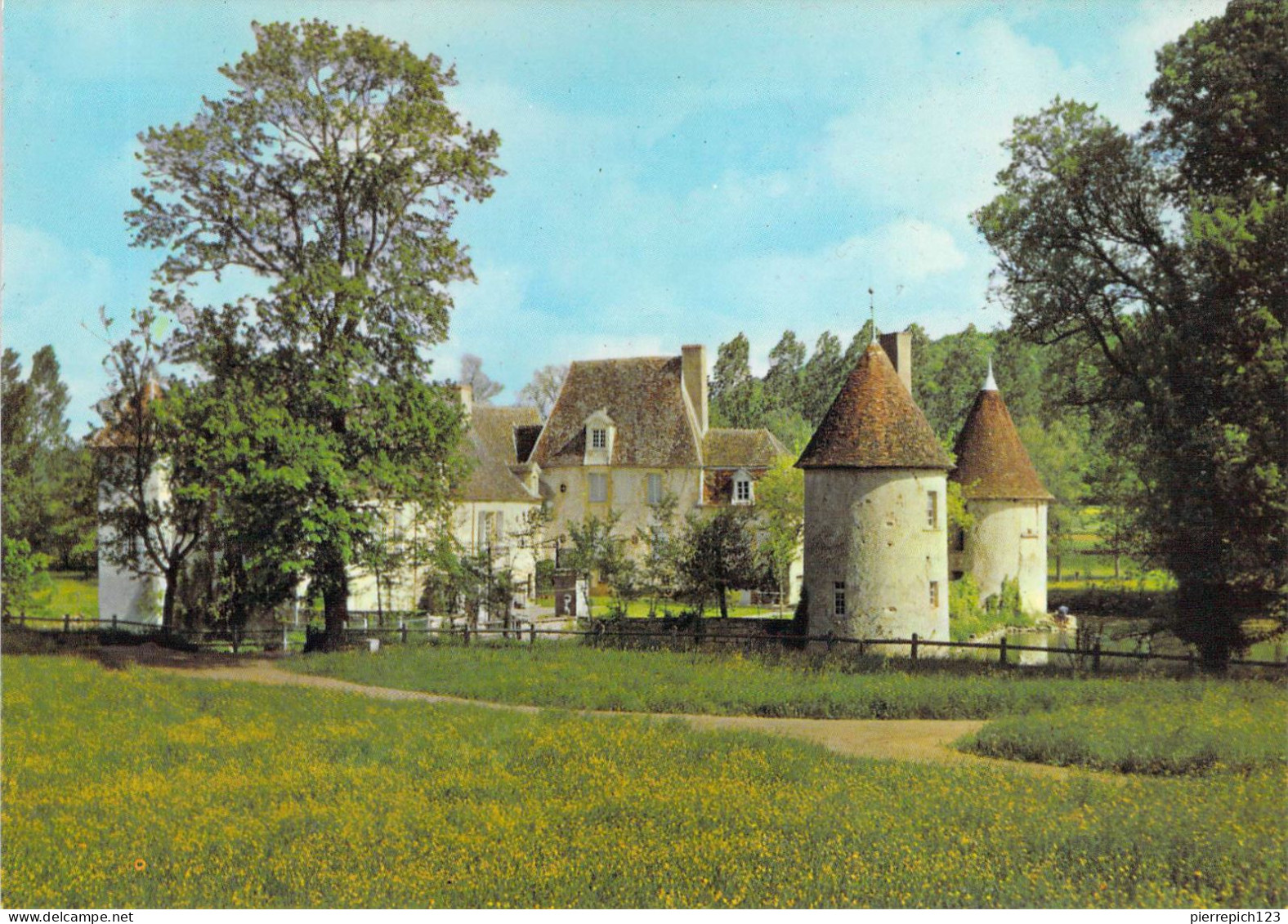 58 - Brinon Sur Beuvron - Le Château - Brinon Sur Beuvron