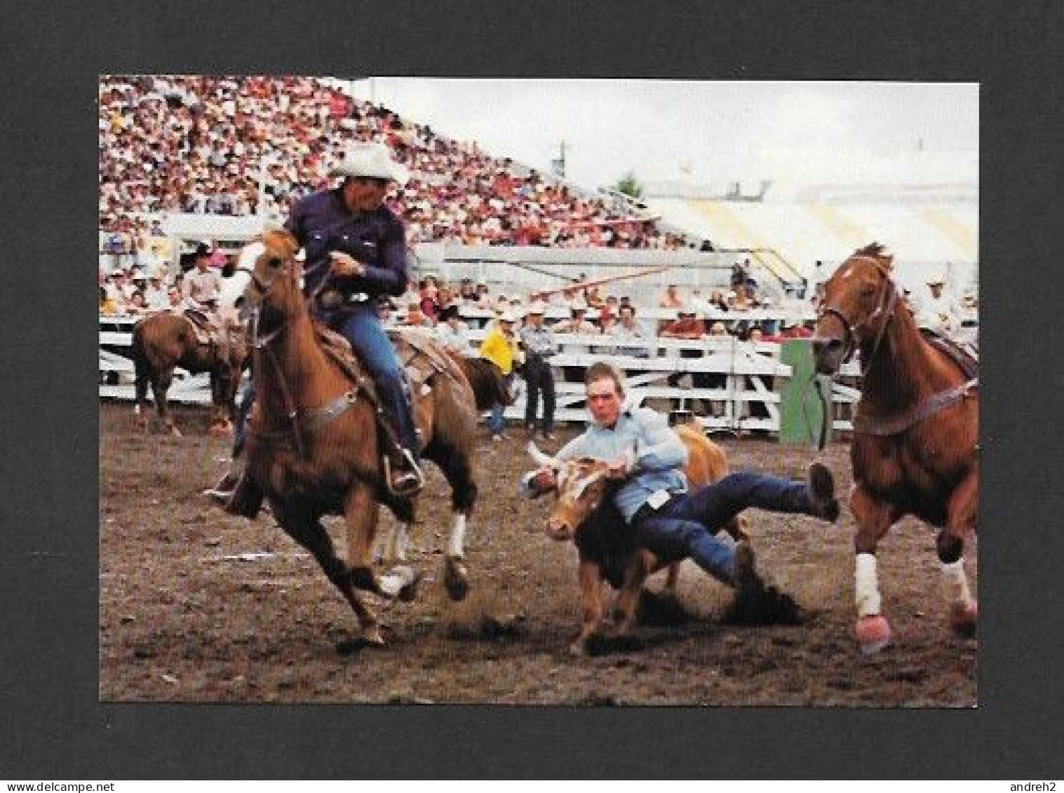 Calgary - Alberta - Calgary Exhibition & Stampede - The Calgary Exhibition And Stampede - Photo Morrison - Calgary