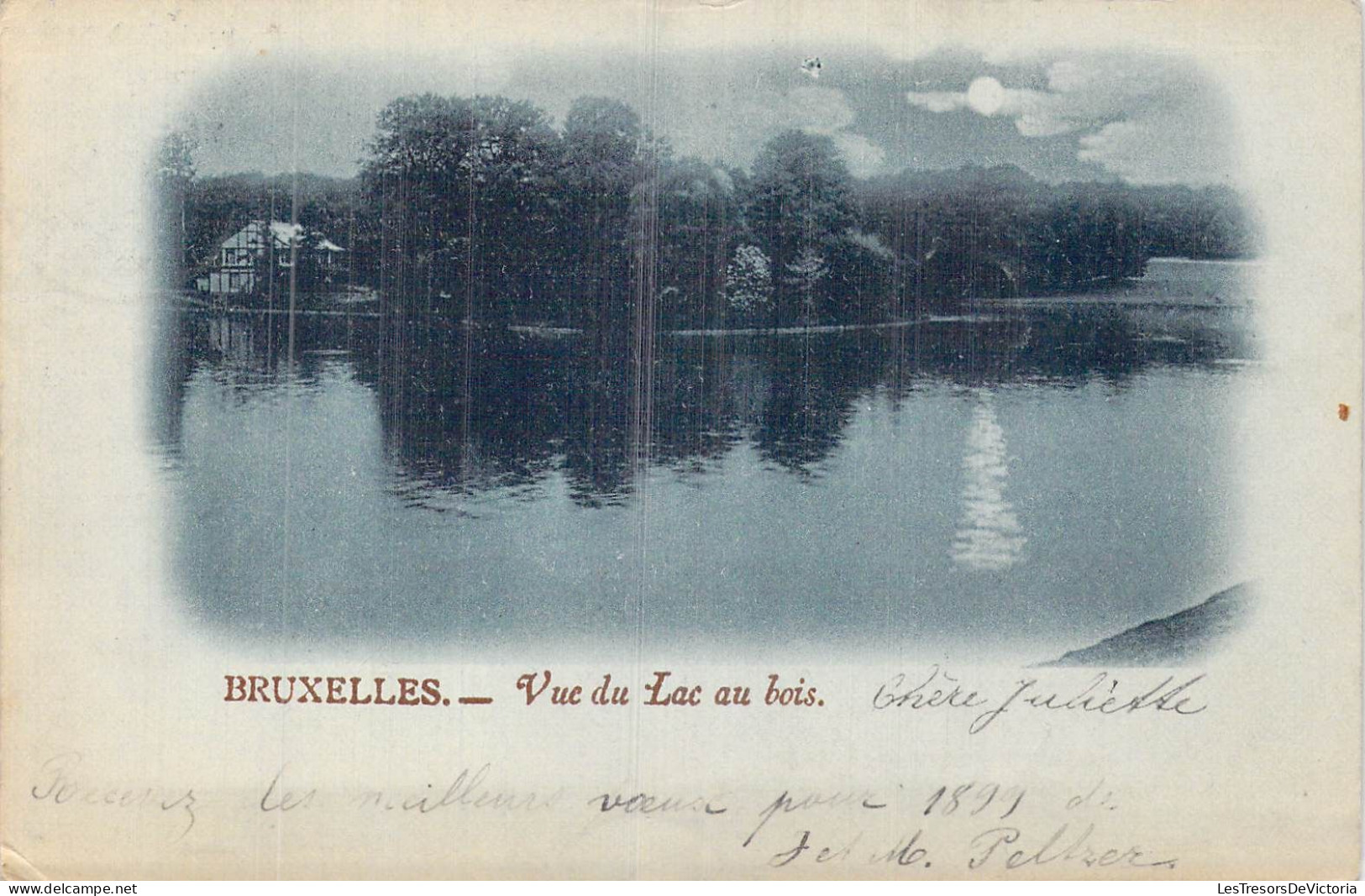 BELGIQUE - Bruxelles - Vue Du Lac Au Bois - Carte Postale Ancienne - Foreste, Parchi, Giardini