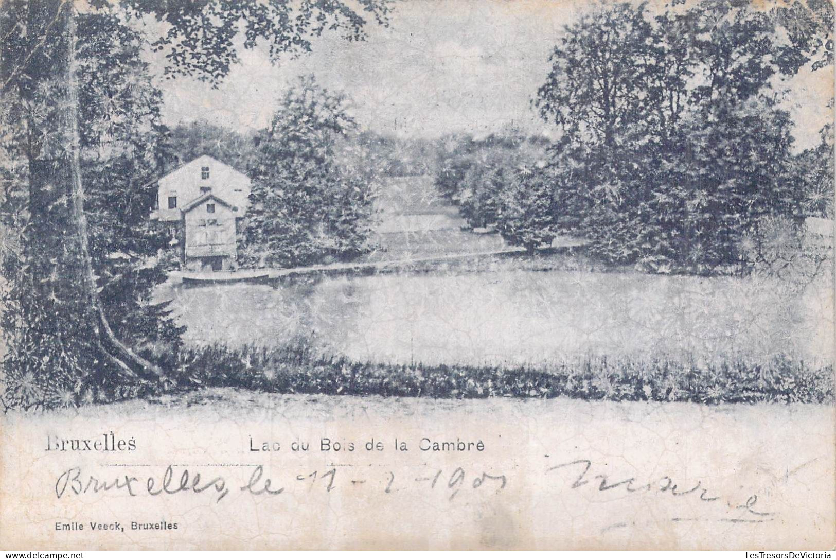 BELGIQUE - Bruxelles - Lac Du Bois De La Cambre - Carte Postale Ancienne - Forests, Parks