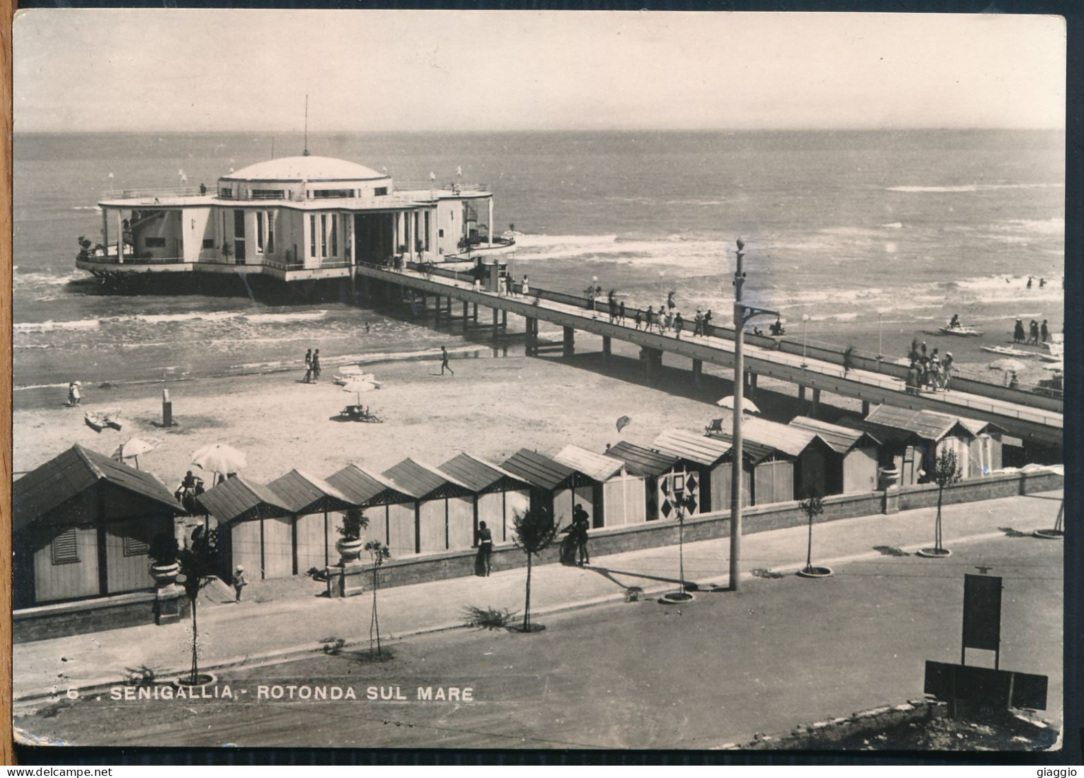 °°° 4914 - SENIGALLIA - ROTONDA SUL MARE (AN) 1950 °°° - Senigallia