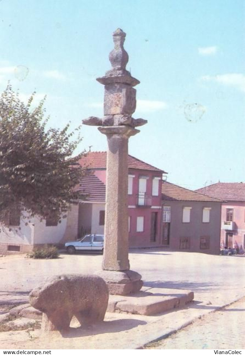 Mirandela - Torre De Dona Chama / Pelourinho = Pilori = Pillory - Bragança