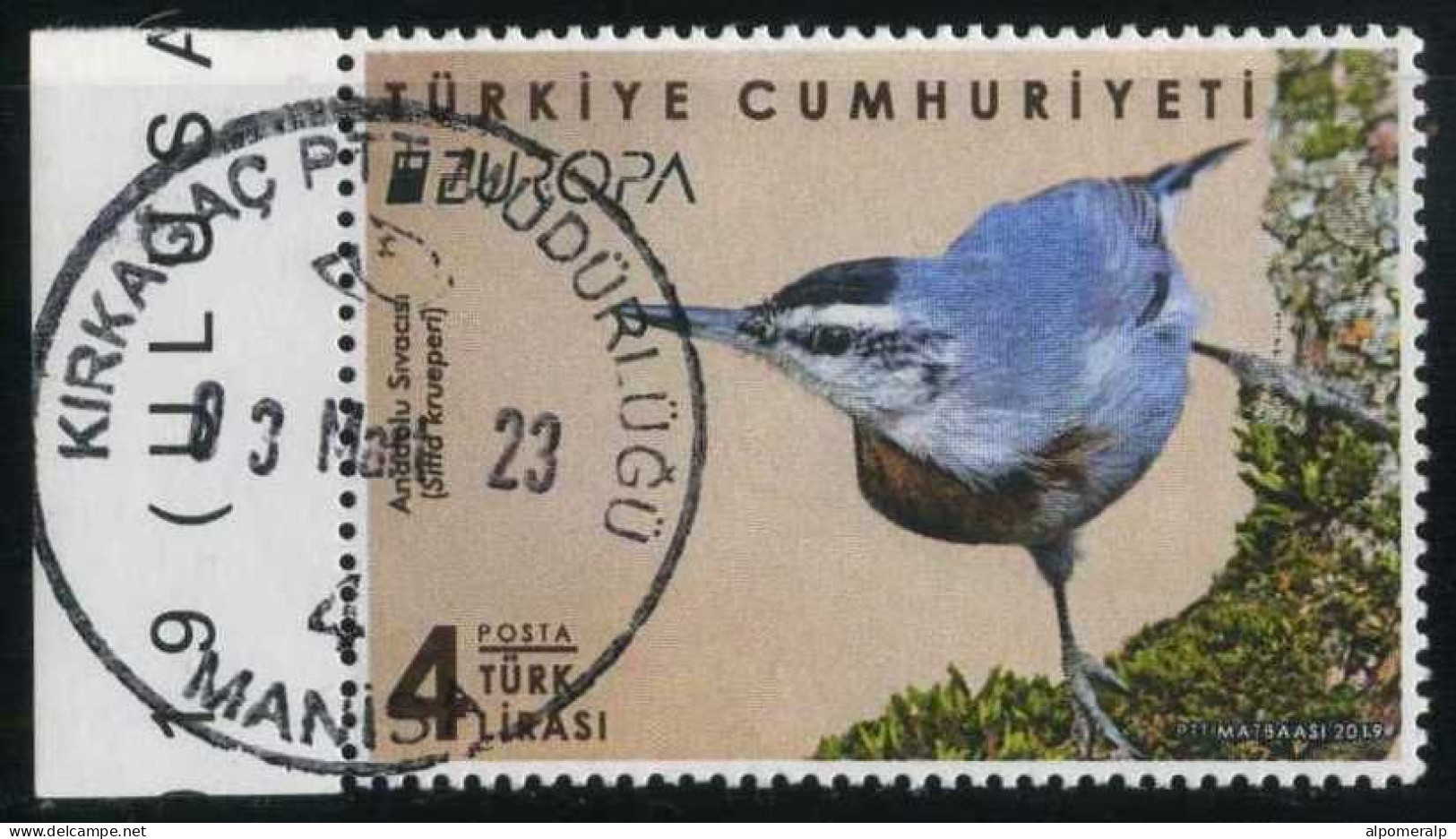 Türkiye 2019 Mi 4493 Europa, Krüper's Nuthatch, Birds Of Prey, CEPT - Used Stamps