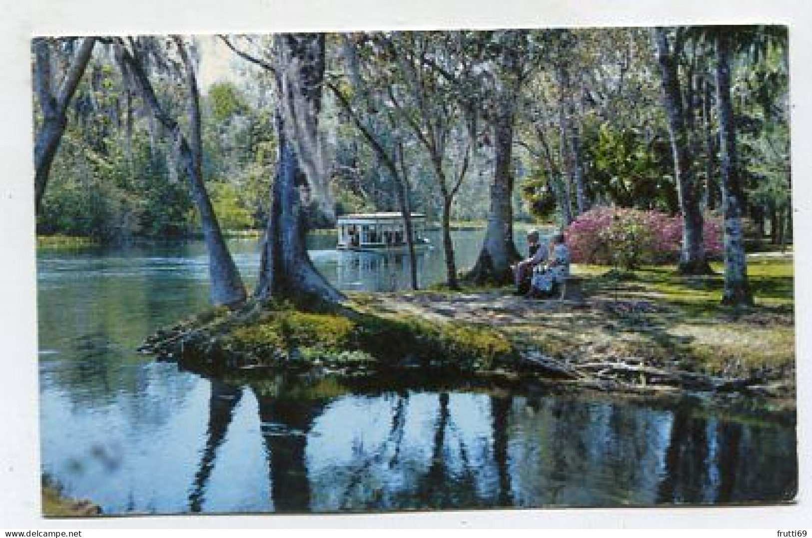 AK 134552 USA - Florida - Silver Springs - Along Silver River - Silver Springs