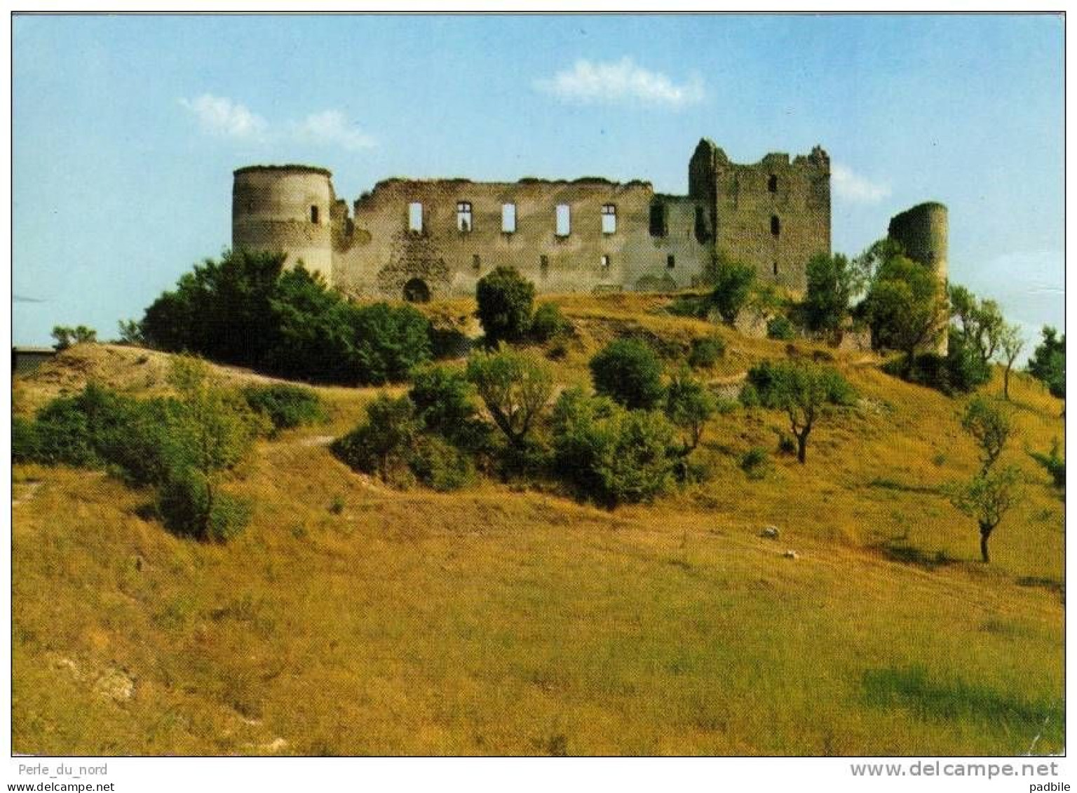 Carte Postale 04 - Greoux Les Bains - Les Ruines Du Chateau Des Templiers Trés Beau Plan - Gréoux-les-Bains