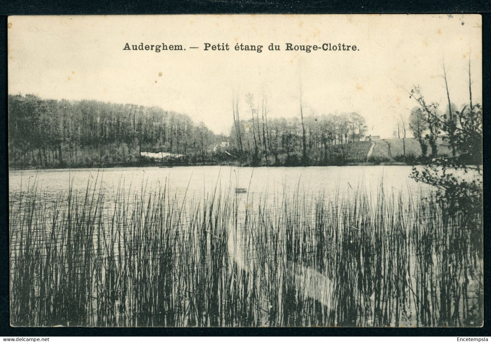 CPA - Carte Postale - Belgique - Auderghem - Petit Etang Du Rouge Cloître (CP22857) - Auderghem - Oudergem