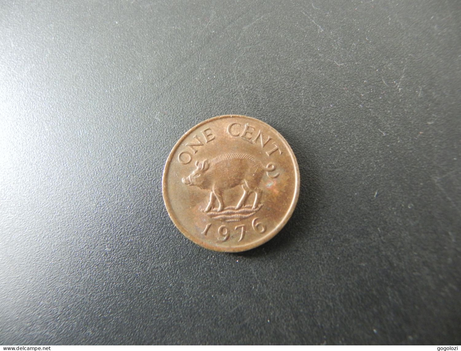 Bermuda 1 Cent 1976 - Pig - Bermudas