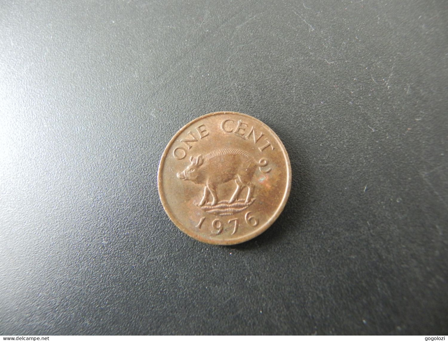 Bermuda 1 Cent 1976 - Pig - Bermuda