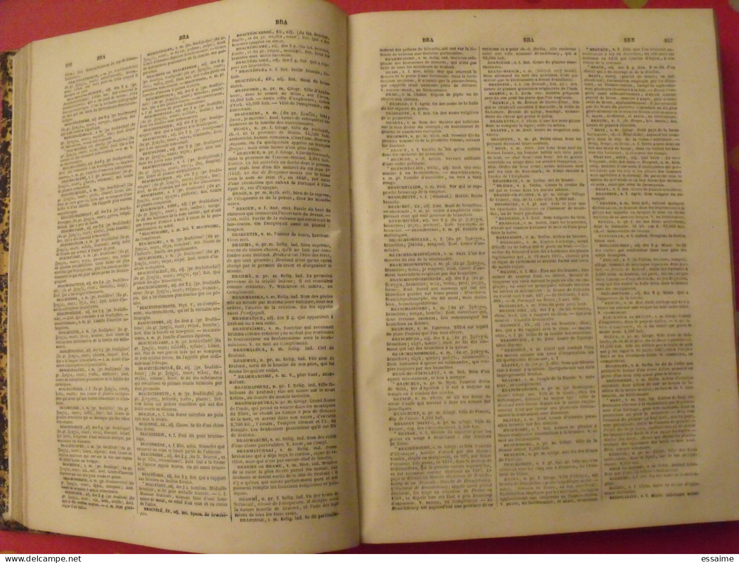 complément du grand dictionnaire des dictionnaires français de Napoléon Landais. Didier 1853