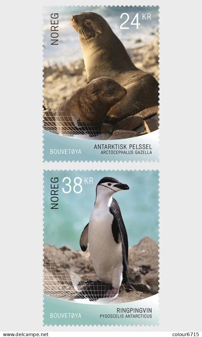 Norway 2018 Fauna Of Bouvet Island Stamps 2v MNH - Neufs