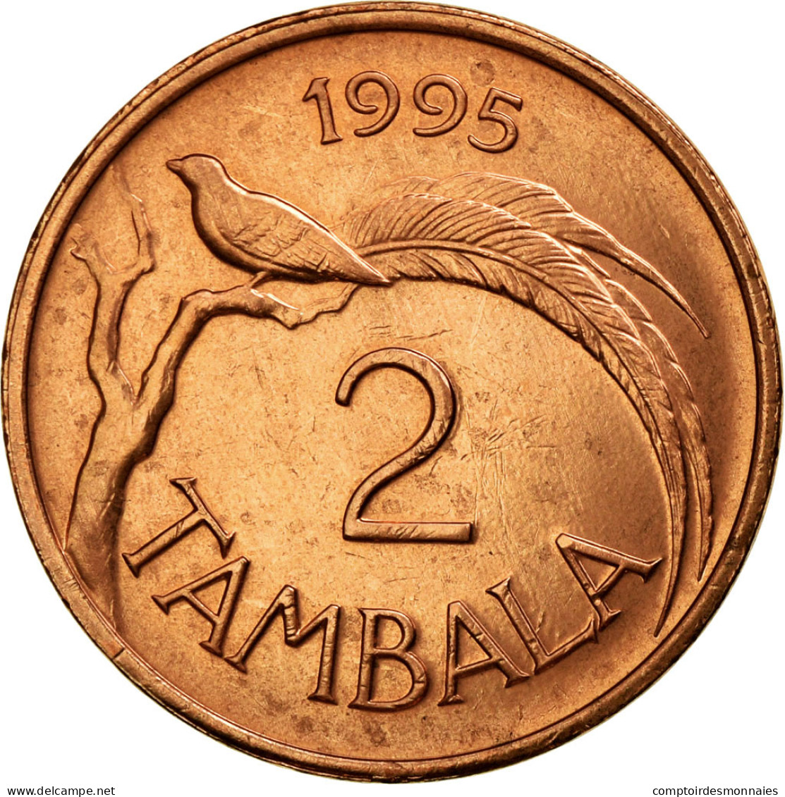 Monnaie, Malawi, 2 Tambala, 1995, SUP, Copper Plated Steel, KM:25 - Malawi