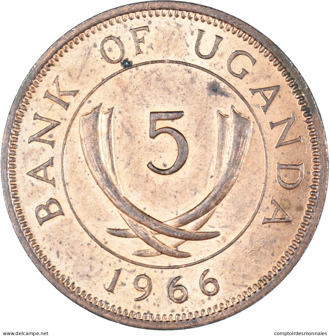Monnaie, Ouganda, 5 Cents, 1966 - Uganda