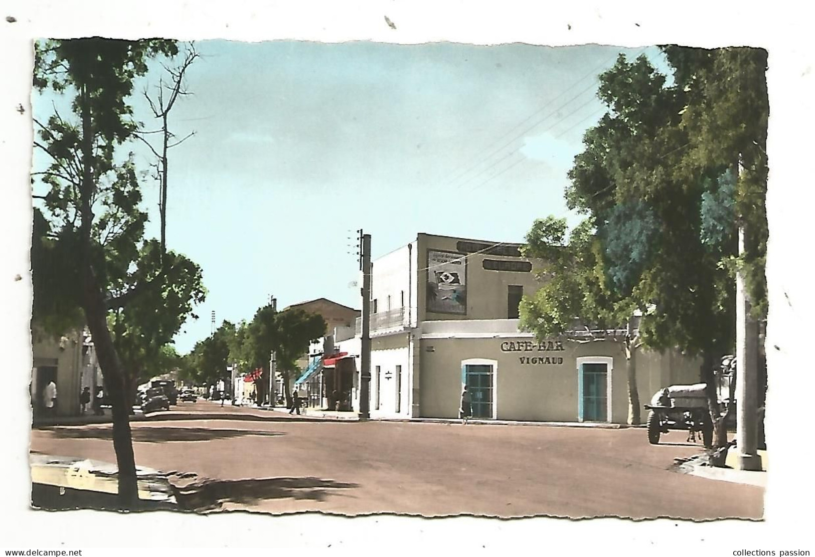 Cp , Algérie, COLOMB-BECHAR, Avenue POINCARE, Café-bar VIGNAUD, Vierge, Ed. A. Sirecky - Bechar (Colomb Béchar)