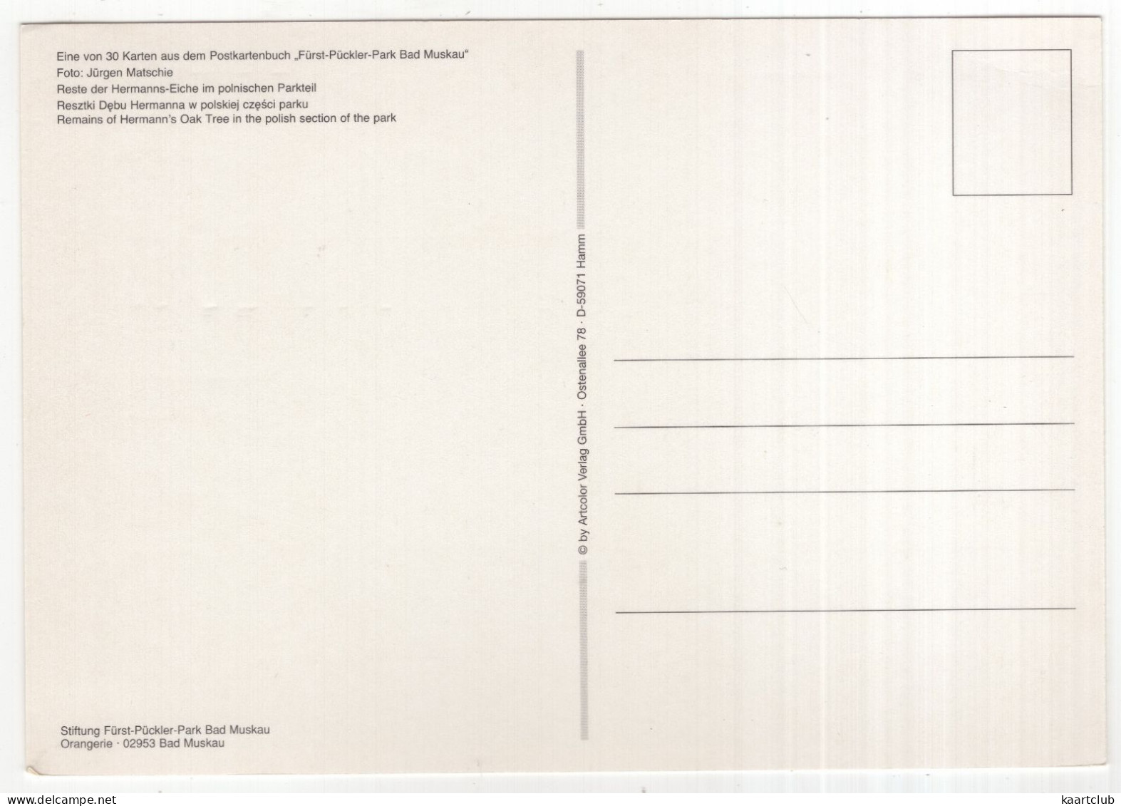 Fürst-Pückler-Park Bad Muskau - Reste Der Hermanns-Eiche Im Polinischen Parkteil - (Deutschland) - 16.5 X 11.5 Cm - Bad Muskau