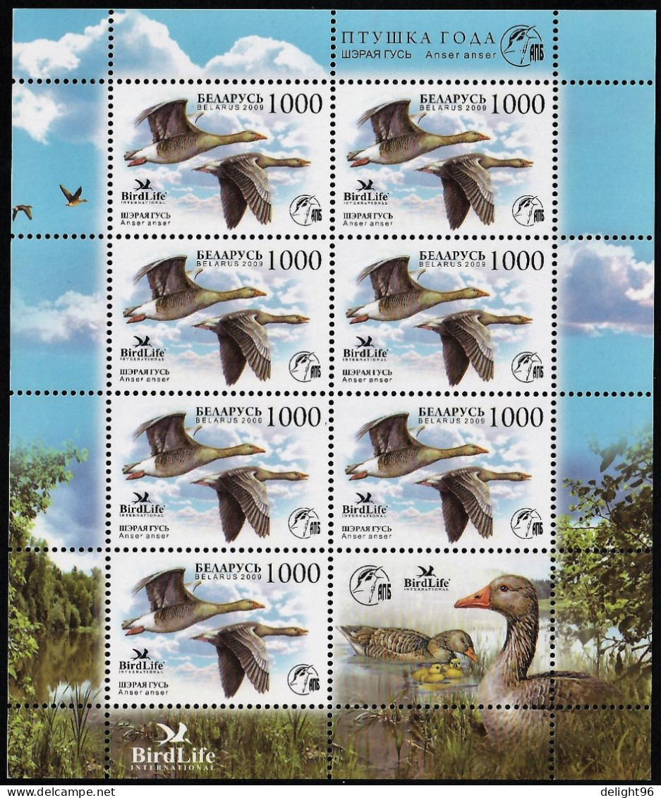 2009 Belarus Bird Of The Year: Greylag Goose Sheetlet (** / MNH / UMM) - Oies