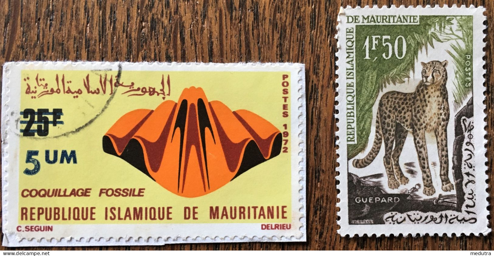 Afrique République Islamique De Mauritanie : Deux Timbres - Mauritanie (1960-...)