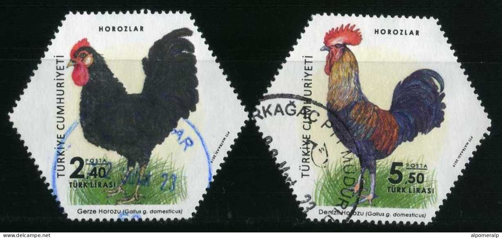 Türkiye 2019 Mi 4543-4544 Roosters, Birds, Poultry, Rooster And Chicken, Gallus Gallus Domesticus - Used Stamps