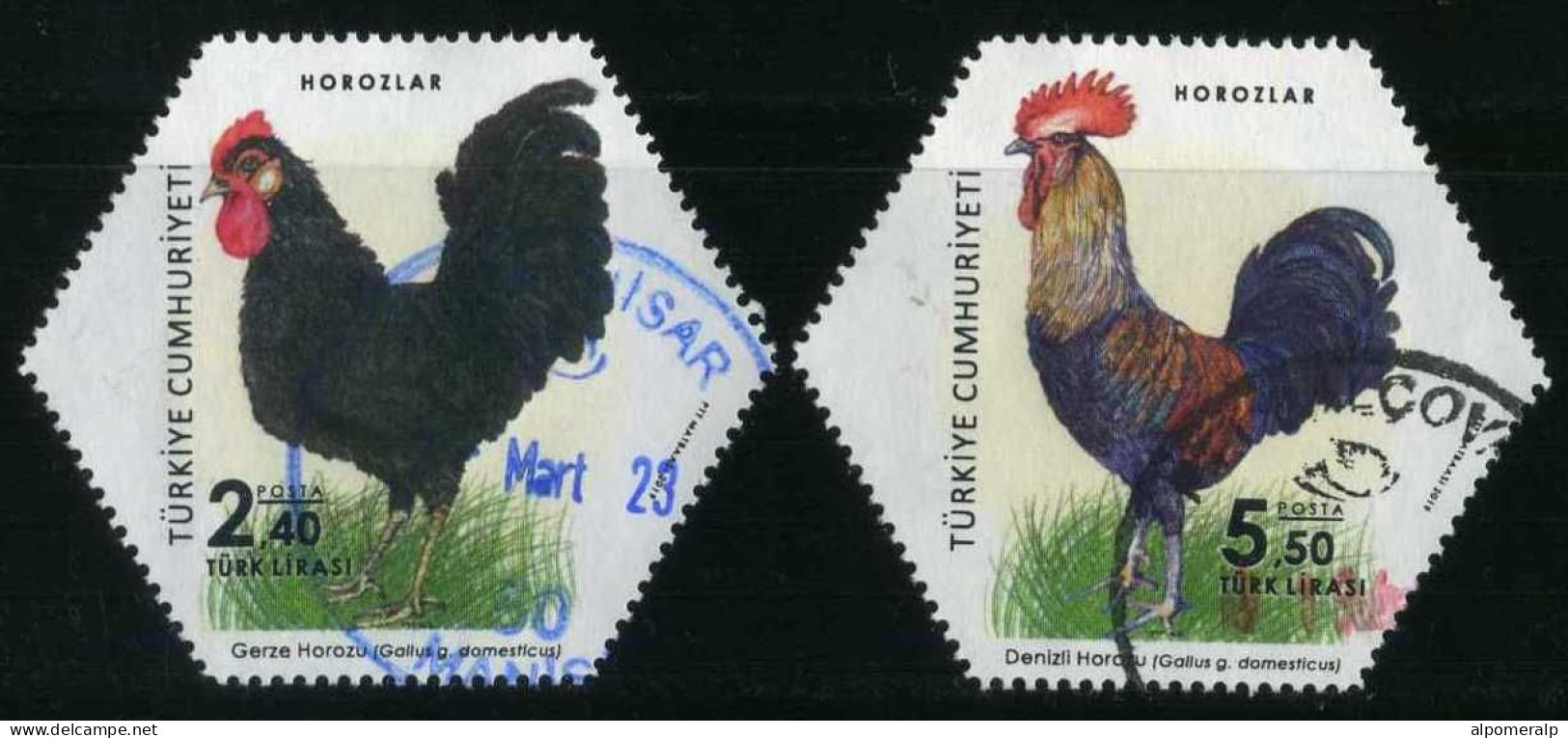 Türkiye 2019 Mi 4543-4544 Roosters, Birds, Poultry, Rooster And Chicken, Gallus Gallus Domesticus - Oblitérés