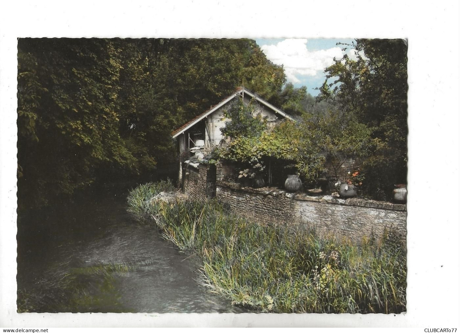 Mauzé-sur-le-Mignon (79) : Maison Sur Les Bords Du Mignon En 1960 GF. - Mauze Sur Le Mignon